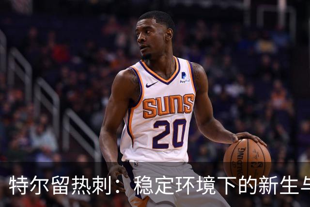 特尔留热刺：稳定环境下的新生与成长