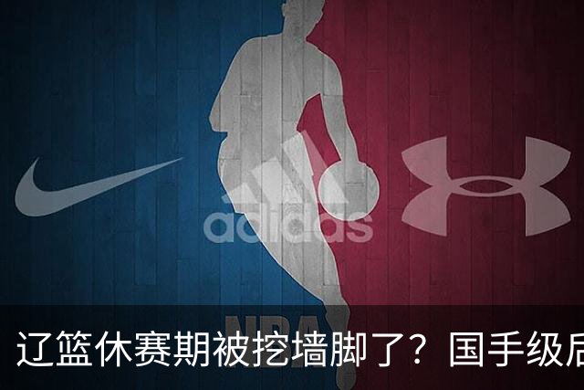 辽篮休赛期被挖墙脚了？国手级后卫恐被交易：变相逼着赵继伟走人